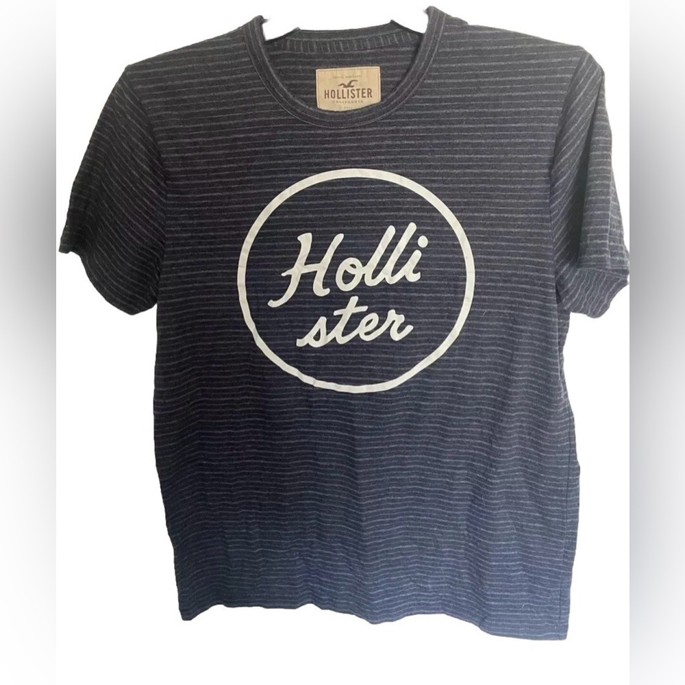 Hollister Men's T-Shirt Size Large White Blue Striped Short Sleeve Crewneck